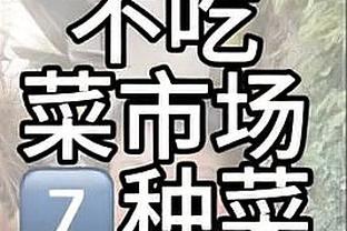 6000万镑打水漂？芒特加盟曼联至今12场0球1助，逐渐沦为替补